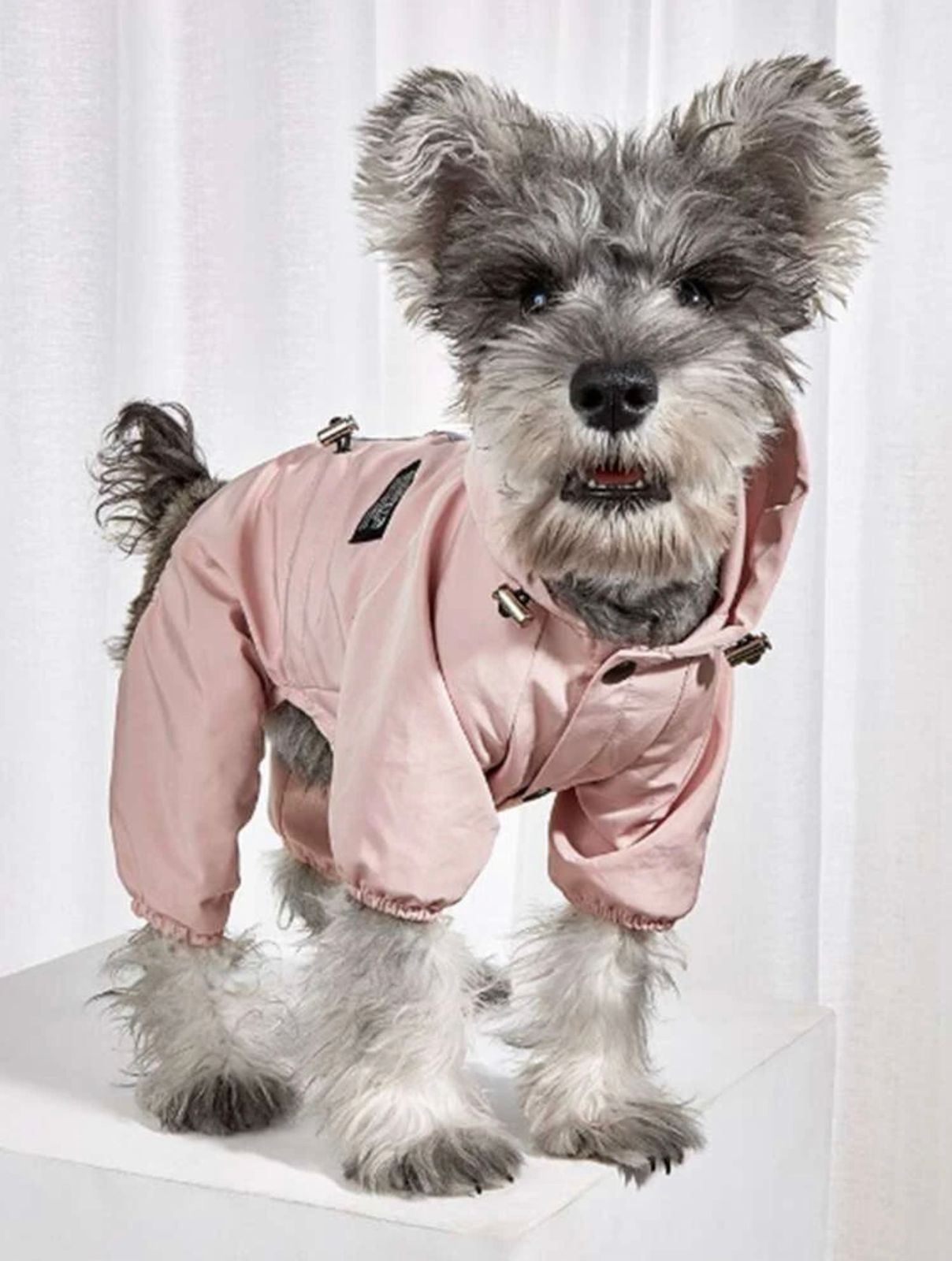 Зоотовары одежда для животных дождевик светоотражающий М розовый Россия